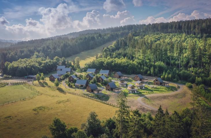 Bergdorf LiebesGrün im Frühling Dorfansicht im Sommer mit Wald und Natur