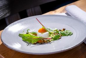 Slow Food Vorspeise mit regionalen Ziegenfrischkäse, Kürbis und Salat Vorspeise Slow Food Menü mit regionalen Ziegenfrischkäse, Kürbis und Salat