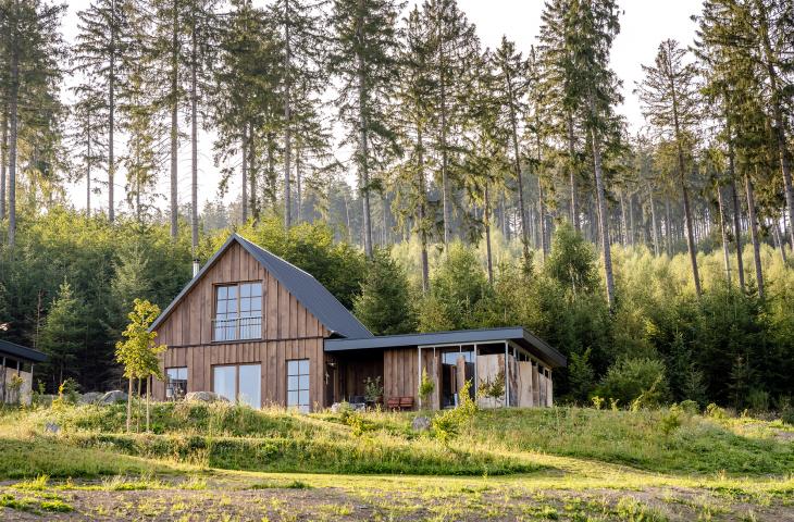 Unsere Bergchalets im Bergdorf LiebesGrün Außenansicht Bergchalet mit Wiese im Vordergrund