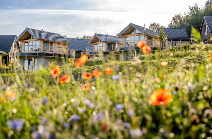 Nester mit Wildblumen und Kräutern Hütten mit Wildblumenwiese